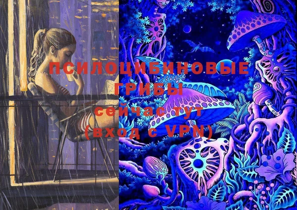 стафф Бикин