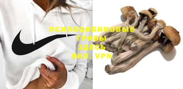 стафф Бикин