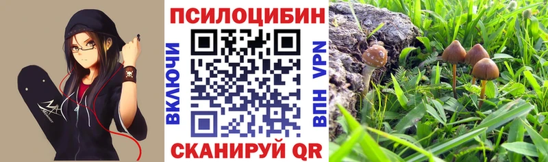 Псилоцибиновые грибы MAGIC MUSHROOMS  мега вход  Бузулук 