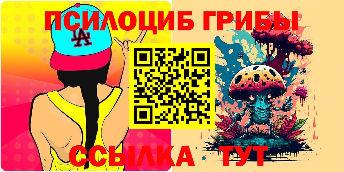 купить наркотики цена  Бузулук  Галлюциногенные грибы Psilocybine cubensis  Псилоцибиновые грибы Magic Shrooms 
