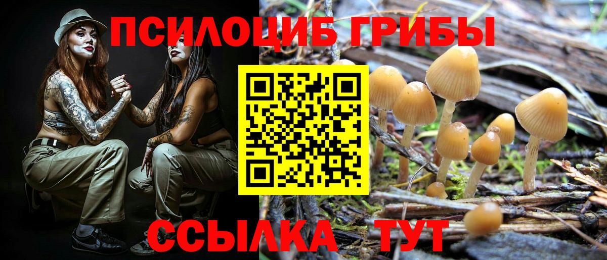 Бузулук  Галлюциногенные грибы прущие грибы  Вход с VPN 