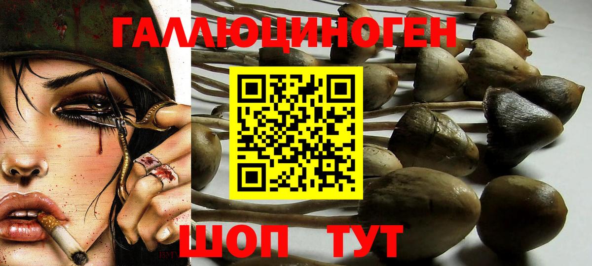 Псилоцибиновые грибы мухоморы Бузулук